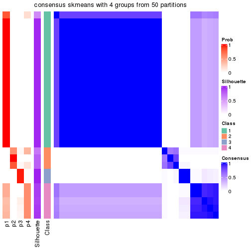 plot of chunk tab-node-023-consensus-heatmap-3