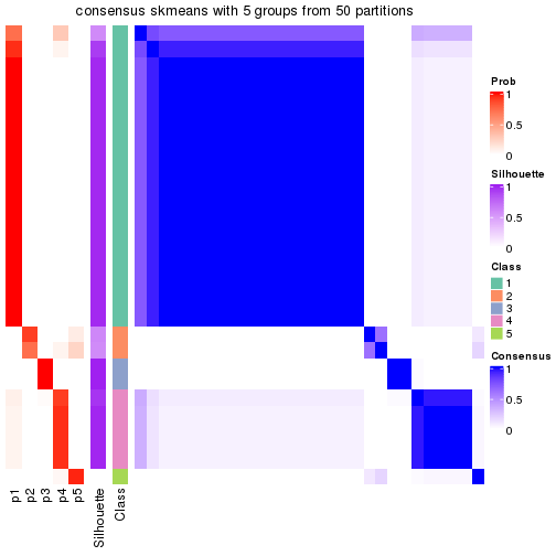 plot of chunk tab-node-023-consensus-heatmap-4