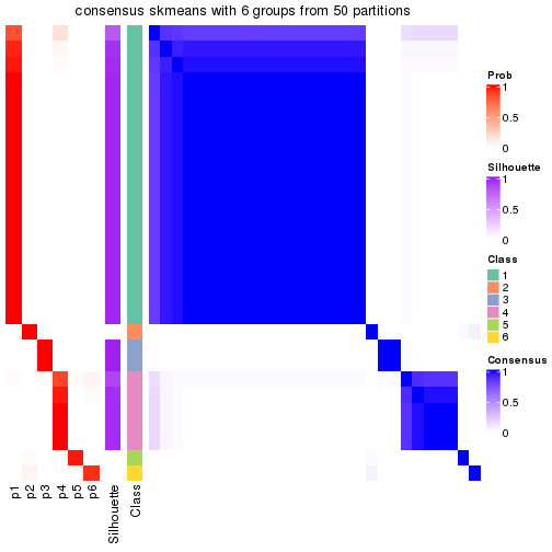 plot of chunk tab-node-023-consensus-heatmap-5