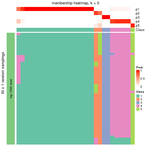 plot of chunk tab-node-023-membership-heatmap-4