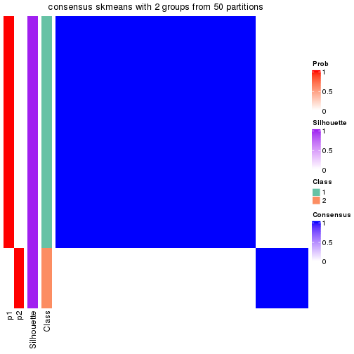 plot of chunk tab-node-0231-consensus-heatmap-1