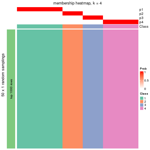 plot of chunk tab-node-0231-membership-heatmap-3