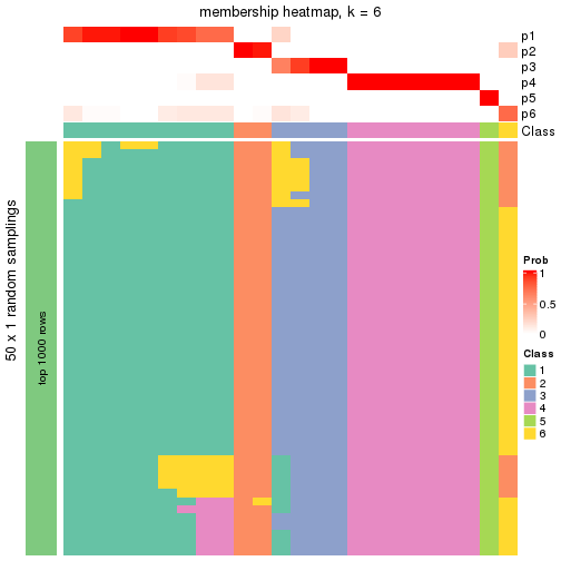 plot of chunk tab-node-0231-membership-heatmap-5