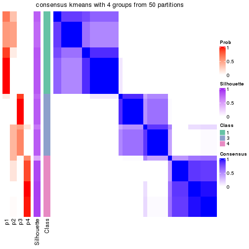 plot of chunk tab-node-024-consensus-heatmap-3