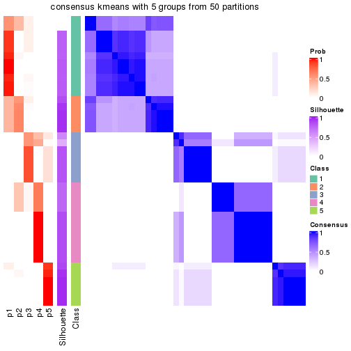 plot of chunk tab-node-024-consensus-heatmap-4