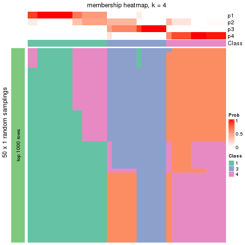 plot of chunk tab-node-024-membership-heatmap-3