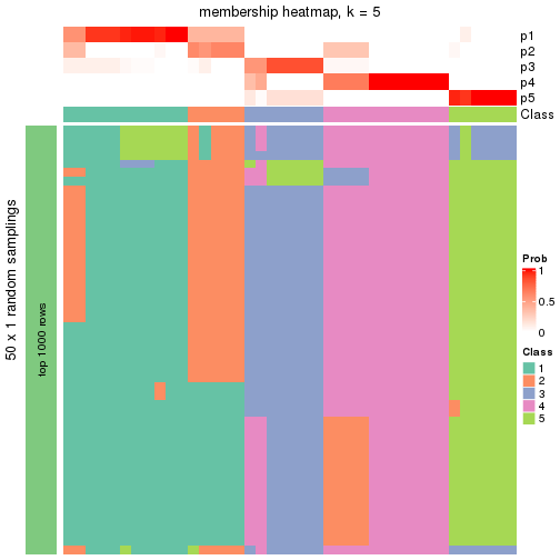 plot of chunk tab-node-024-membership-heatmap-4