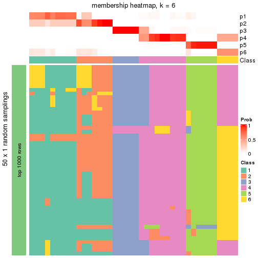 plot of chunk tab-node-024-membership-heatmap-5