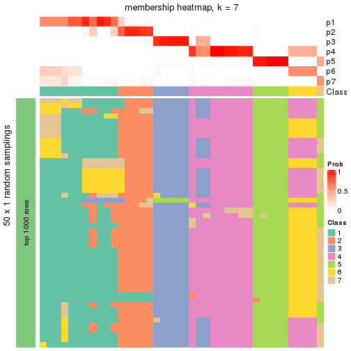 plot of chunk tab-node-024-membership-heatmap-6