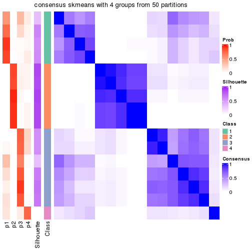 plot of chunk tab-node-0241-consensus-heatmap-3