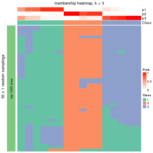 plot of chunk tab-node-0241-membership-heatmap-2