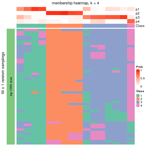 plot of chunk tab-node-0241-membership-heatmap-3