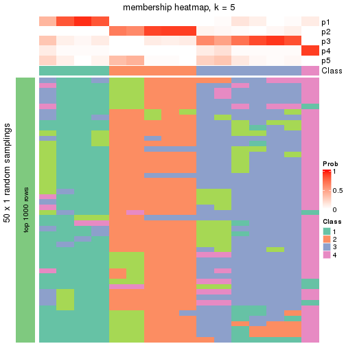 plot of chunk tab-node-0241-membership-heatmap-4