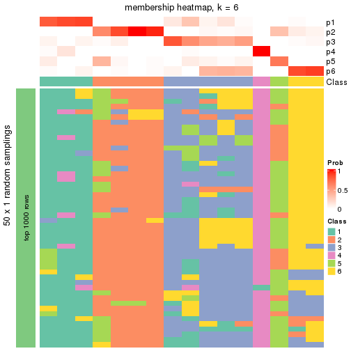 plot of chunk tab-node-0241-membership-heatmap-5