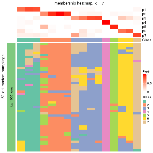 plot of chunk tab-node-0241-membership-heatmap-6