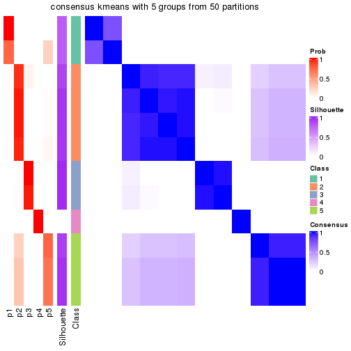 plot of chunk tab-node-0242-consensus-heatmap-4