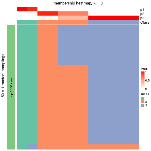 plot of chunk tab-node-0242-membership-heatmap-2