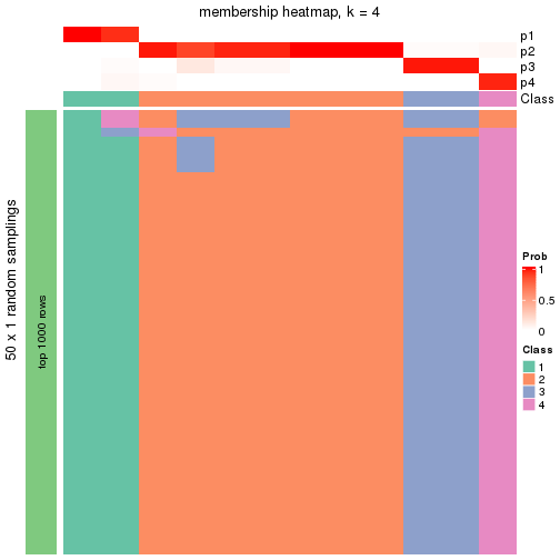 plot of chunk tab-node-0242-membership-heatmap-3