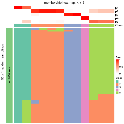 plot of chunk tab-node-0242-membership-heatmap-4