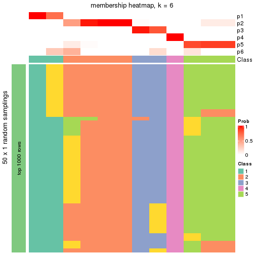 plot of chunk tab-node-0242-membership-heatmap-5