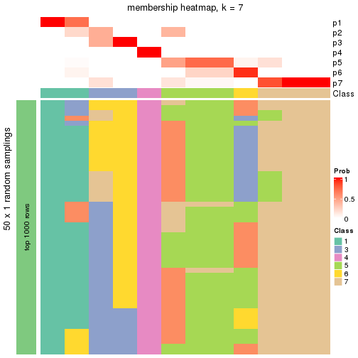 plot of chunk tab-node-0242-membership-heatmap-6