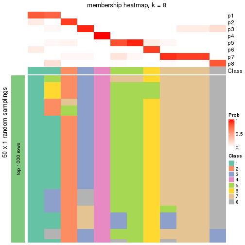 plot of chunk tab-node-0242-membership-heatmap-7