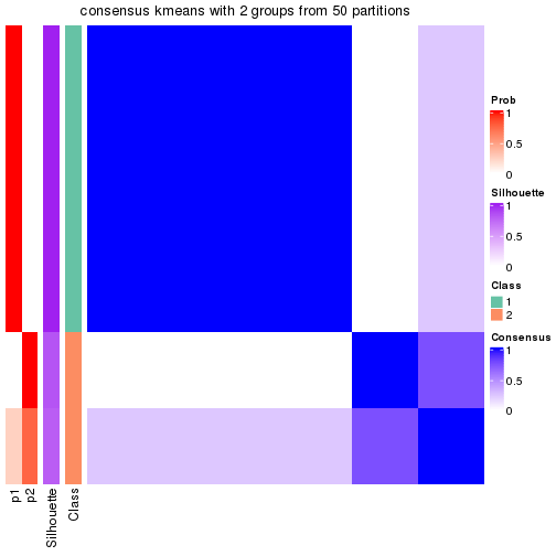 plot of chunk tab-node-0243-consensus-heatmap-1