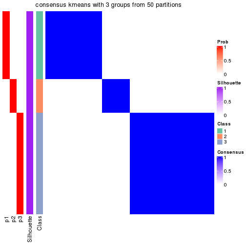 plot of chunk tab-node-0243-consensus-heatmap-2