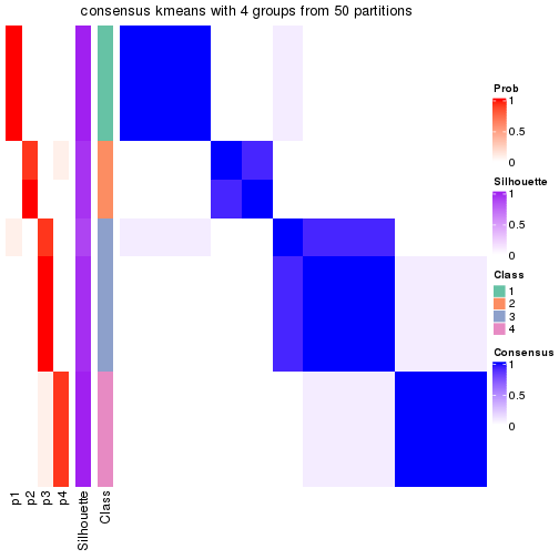 plot of chunk tab-node-0243-consensus-heatmap-3