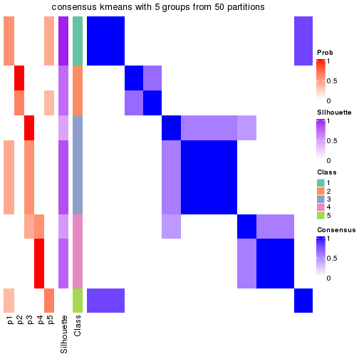 plot of chunk tab-node-0243-consensus-heatmap-4