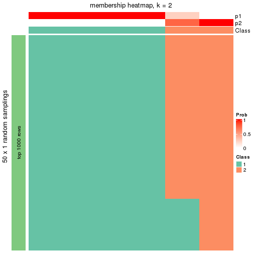 plot of chunk tab-node-0243-membership-heatmap-1