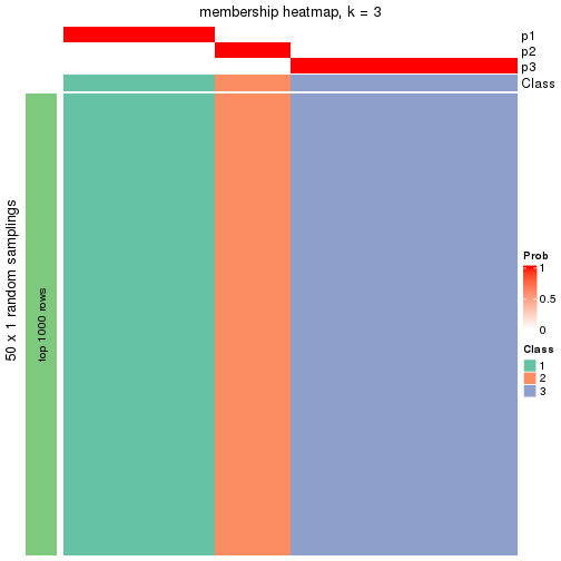 plot of chunk tab-node-0243-membership-heatmap-2