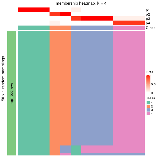 plot of chunk tab-node-0243-membership-heatmap-3