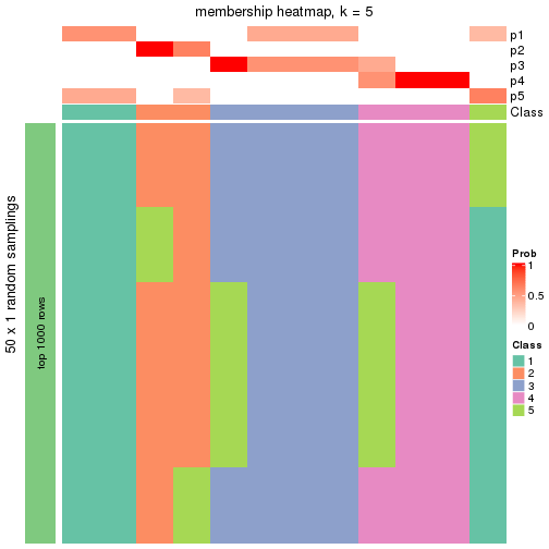 plot of chunk tab-node-0243-membership-heatmap-4