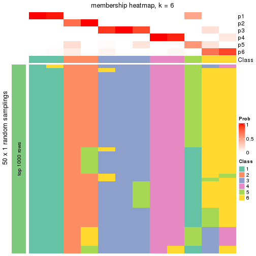 plot of chunk tab-node-0243-membership-heatmap-5