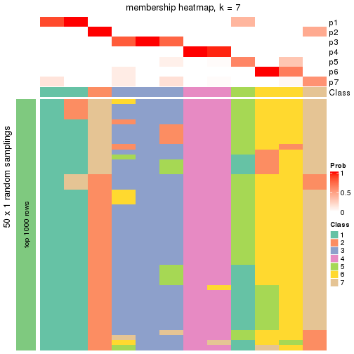 plot of chunk tab-node-0243-membership-heatmap-6