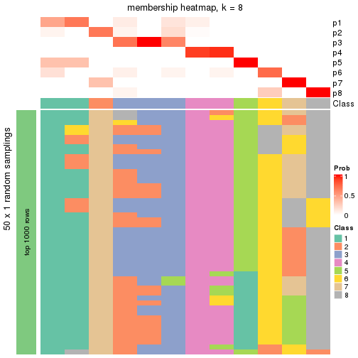 plot of chunk tab-node-0243-membership-heatmap-7