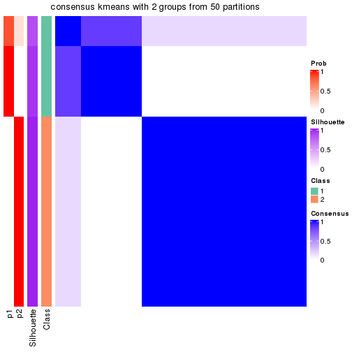 plot of chunk tab-node-025-consensus-heatmap-1