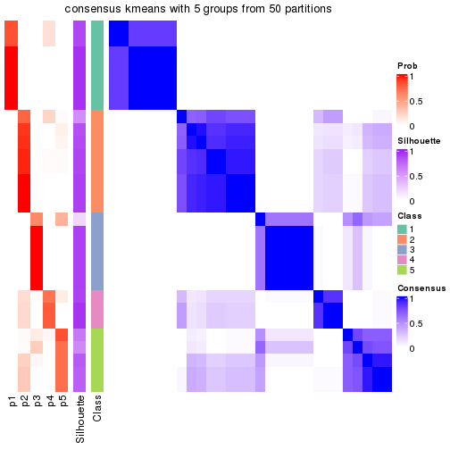 plot of chunk tab-node-025-consensus-heatmap-4