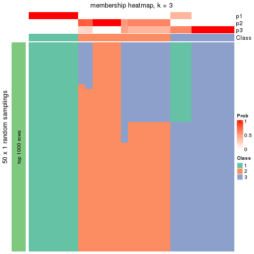 plot of chunk tab-node-025-membership-heatmap-2