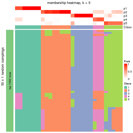 plot of chunk tab-node-025-membership-heatmap-4