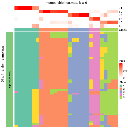 plot of chunk tab-node-025-membership-heatmap-5