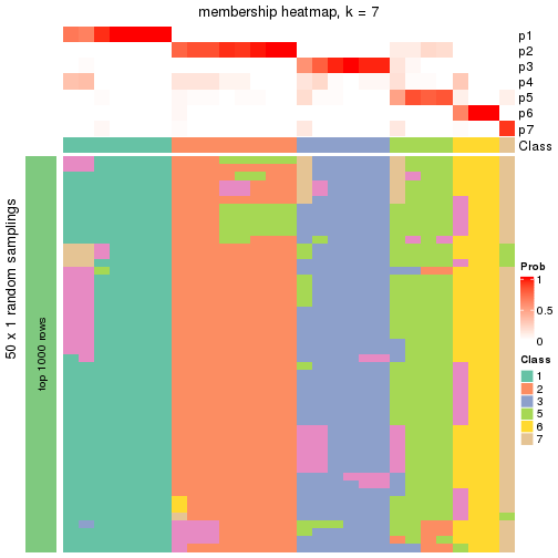 plot of chunk tab-node-025-membership-heatmap-6