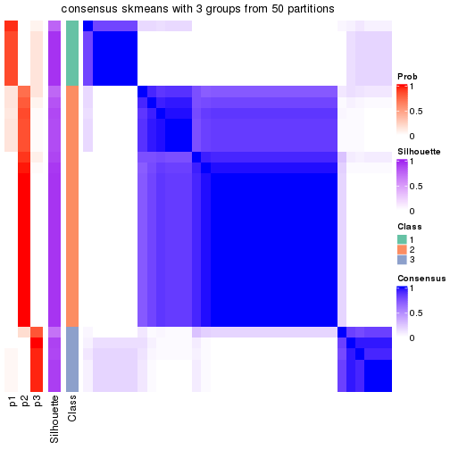 plot of chunk tab-node-03-consensus-heatmap-2