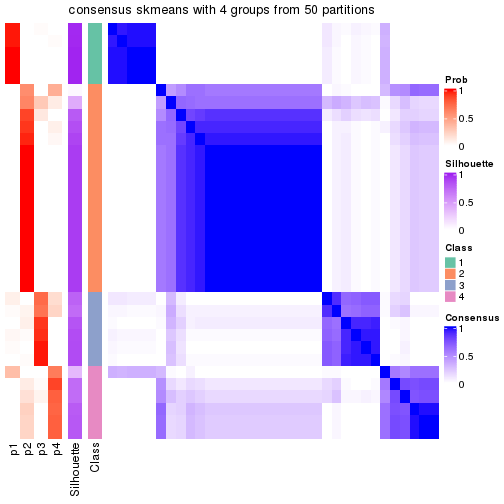 plot of chunk tab-node-03-consensus-heatmap-3