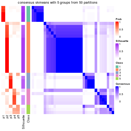 plot of chunk tab-node-03-consensus-heatmap-4