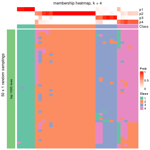 plot of chunk tab-node-03-membership-heatmap-3