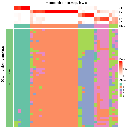 plot of chunk tab-node-03-membership-heatmap-4