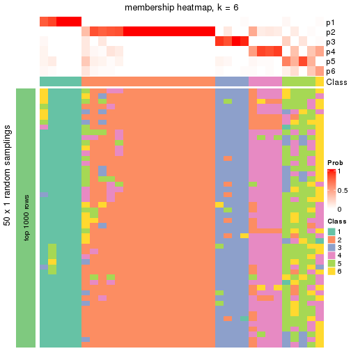 plot of chunk tab-node-03-membership-heatmap-5