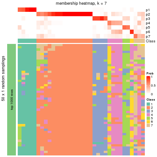 plot of chunk tab-node-03-membership-heatmap-6